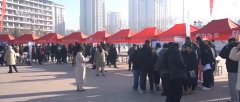 不少求职者选择正在